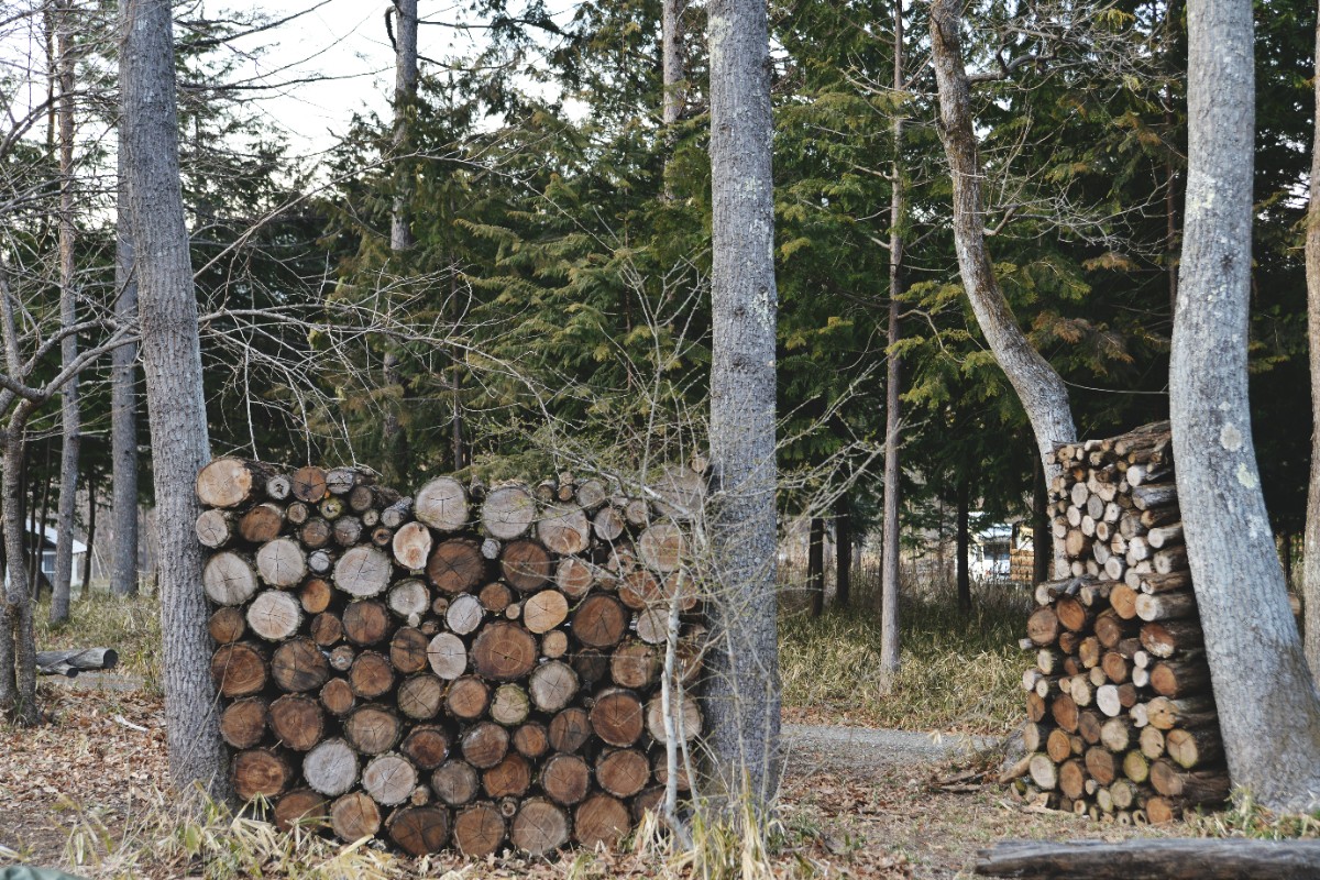 デコ・ボタニカル - 9