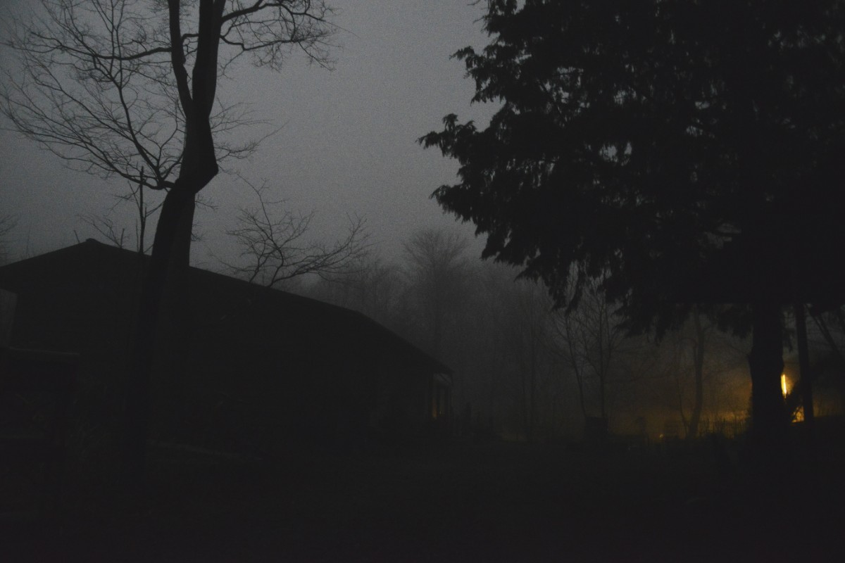 デコ・ボタニカル - 10