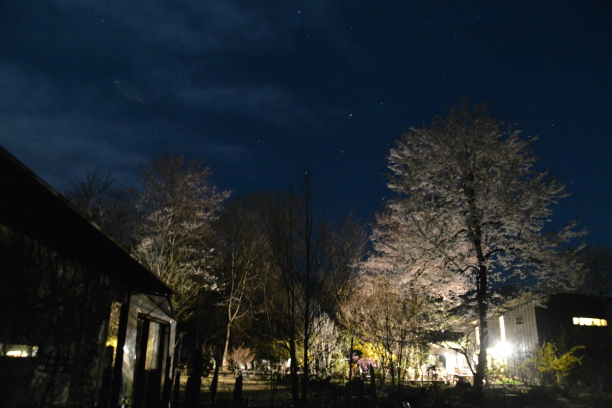 デコ・ボタニカル - 11