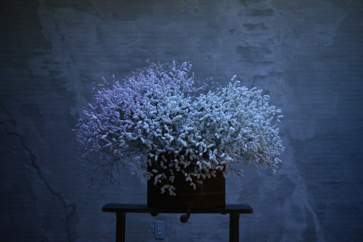 デコ・ボタニカル - 12