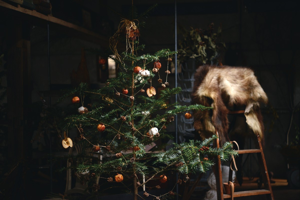 デコ・ボタニカル - 15