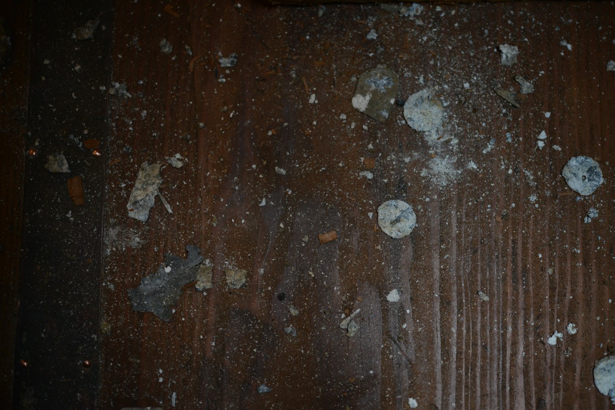 デコ・ボタニカル - 17