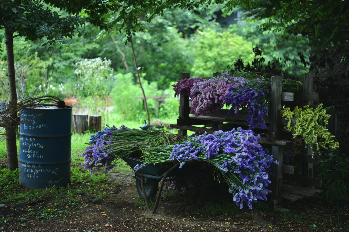 デコ・ボタニカル - 20