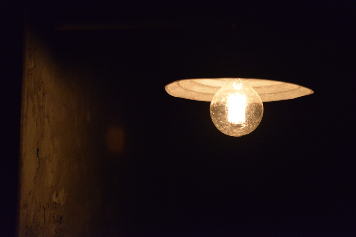 デコ・ボタニカル - 21