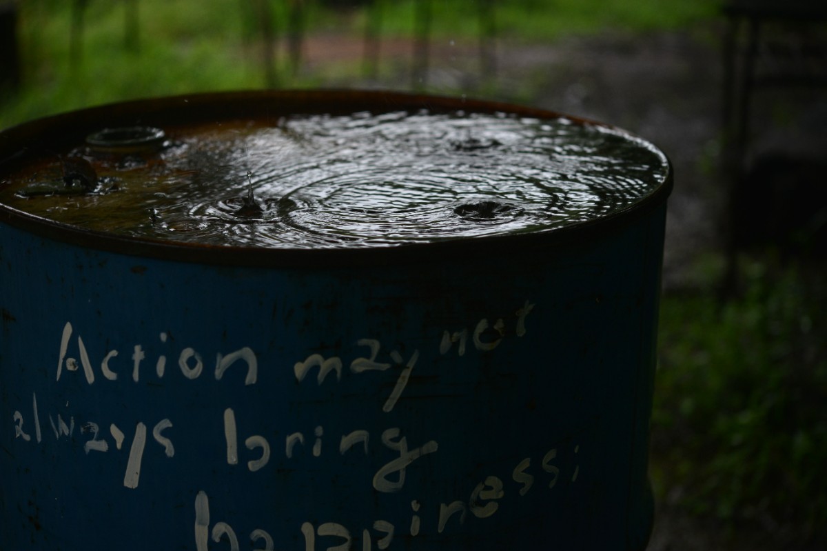 デコ・ボタニカル - 25