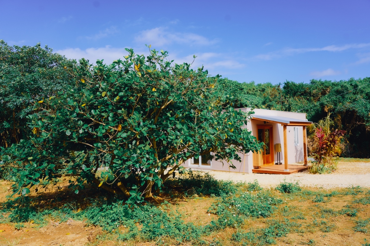 Pure Plants stay - 7