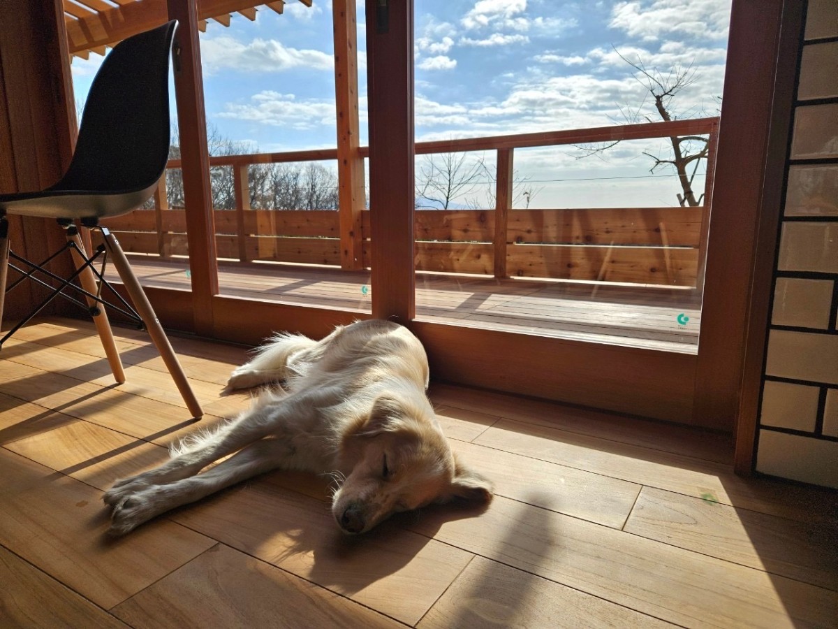 VACANCES.izukogen 絶景温泉コテージ - 6