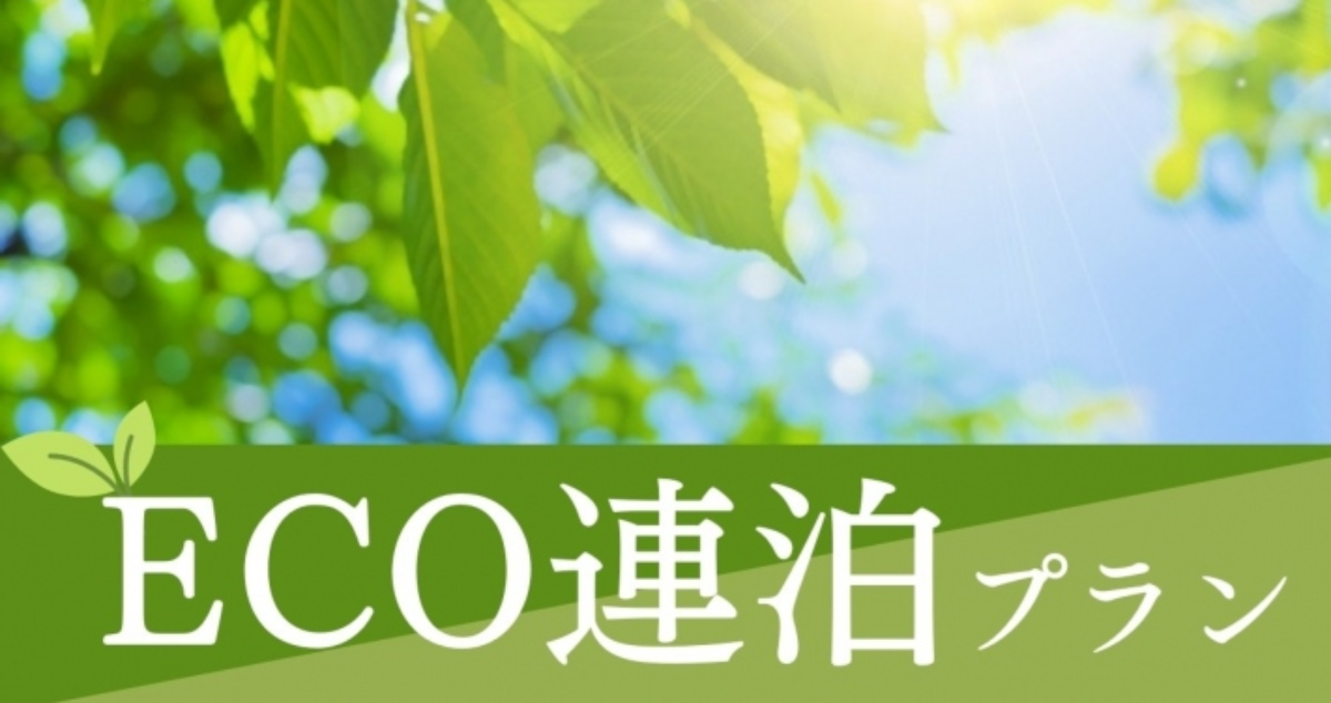 【連泊】お部屋の清掃なしECOプラン - 2