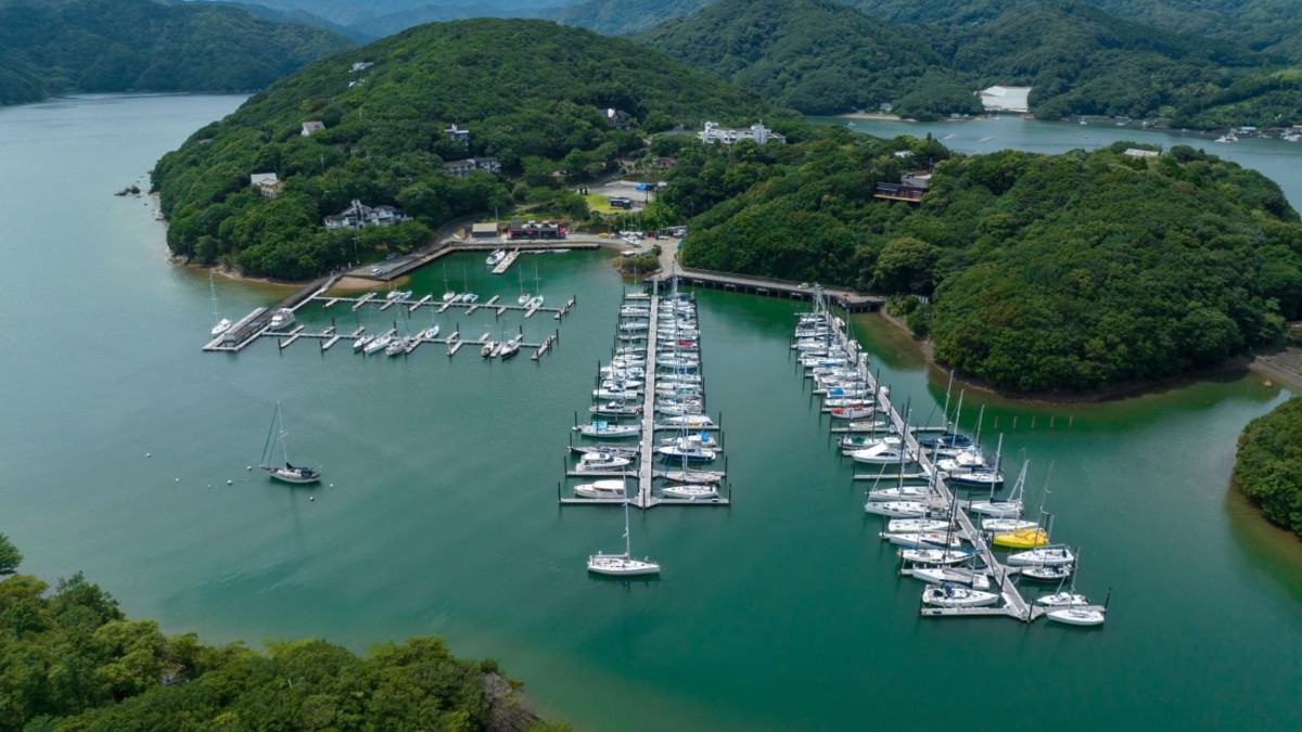 【素泊|マリーナ直結】海との境界線をなくすSUP体験 - 4