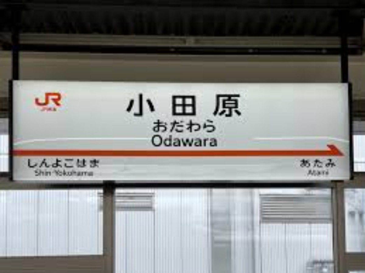 【小田原駅無料送迎】サウナ+BBQプラン※7日前予約必