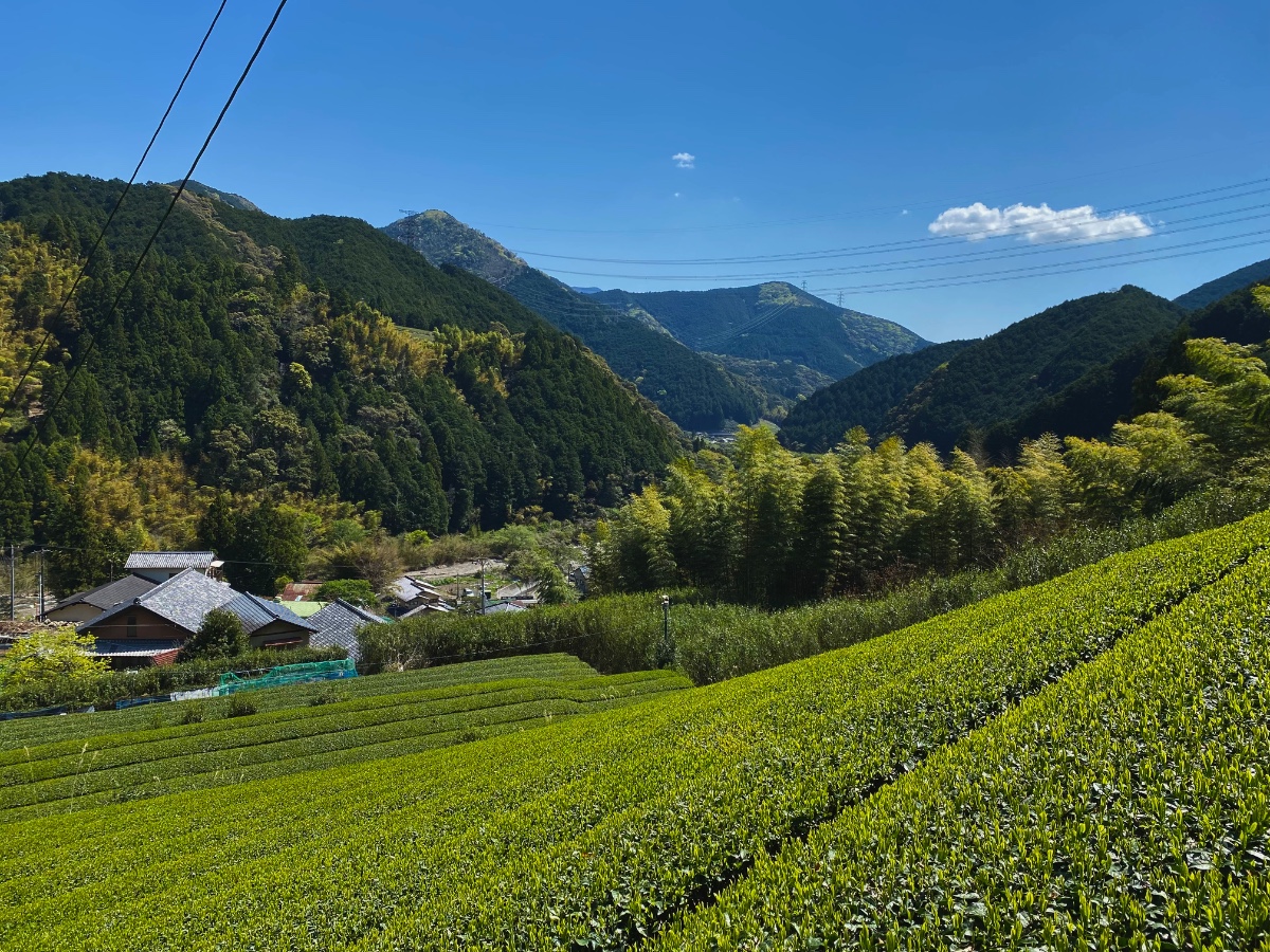 山と空の露天風呂　古民家宿 かもしか - 16