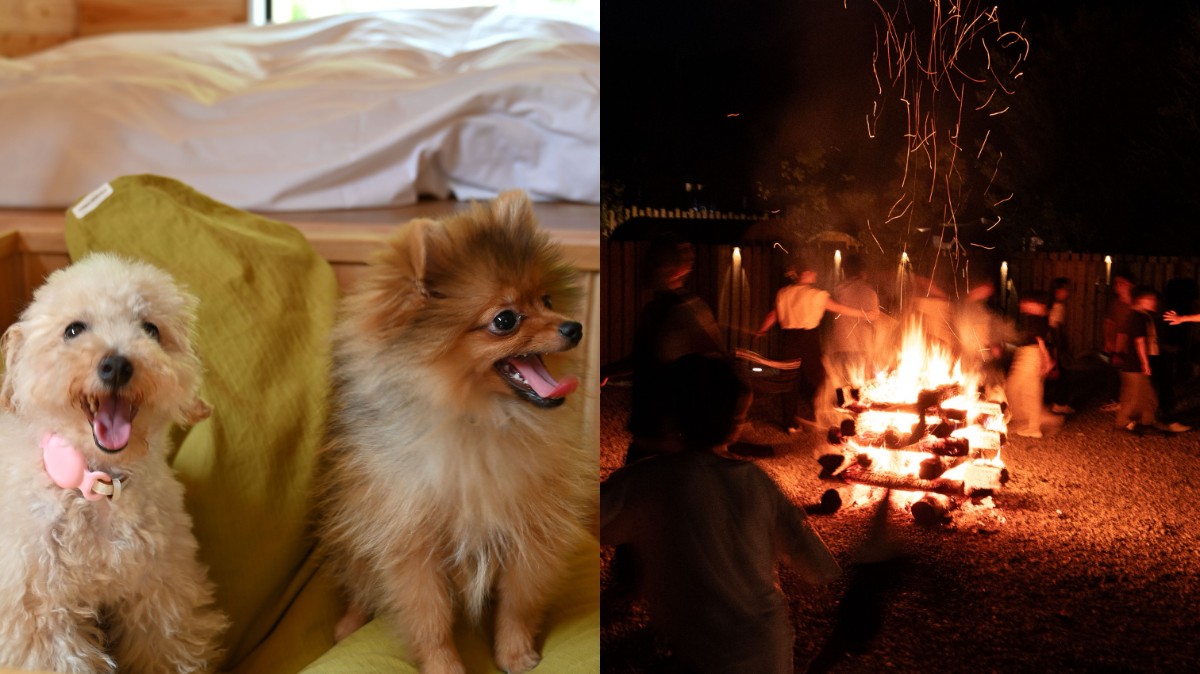 【ペット可・訳あり5千円引】林間学校割引：持ち込みBBQ