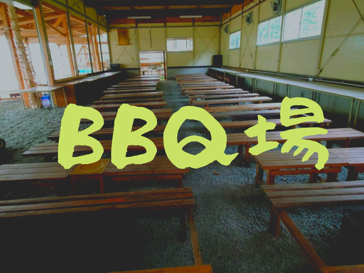 日帰りBBQ : 1区画