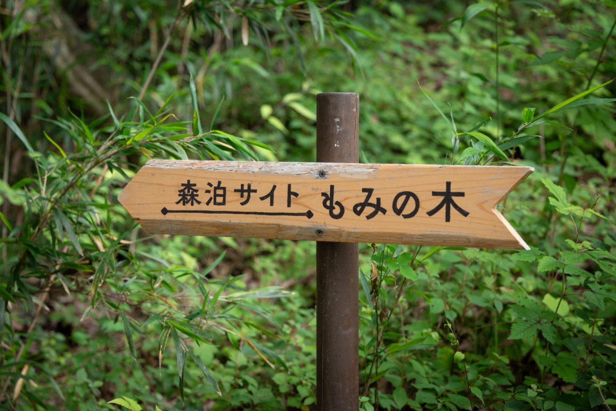 キャンプサイト もみの木 - 2