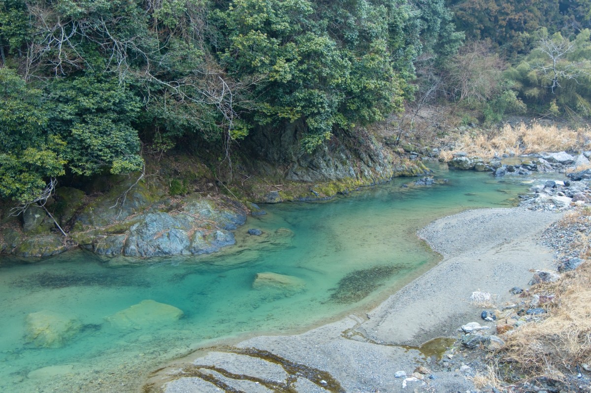 紀美野サウナ&ホテル - 12