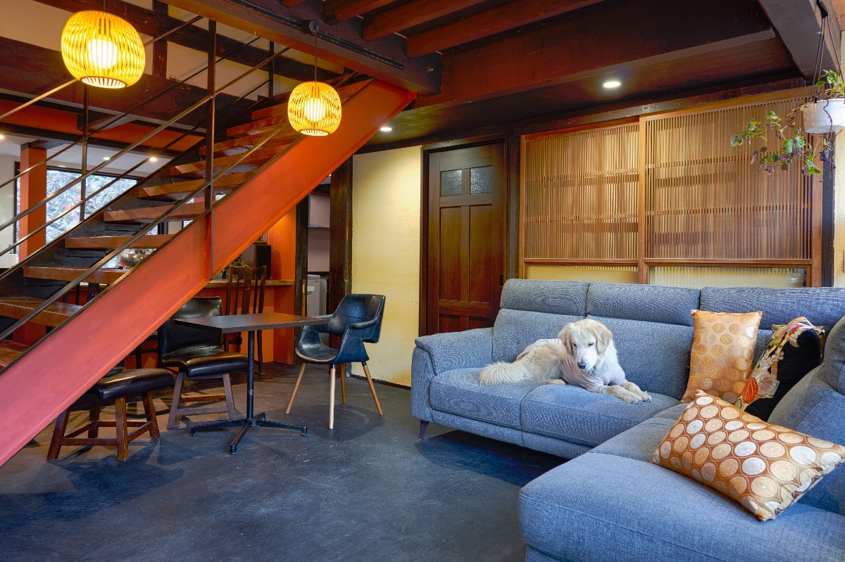 DOG FRIENDLY STAY