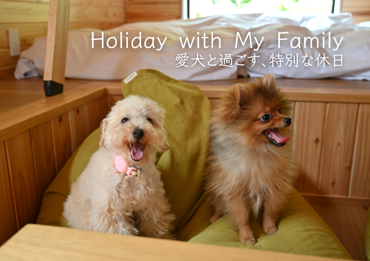 ワンちゃん専用→お泊まりマニュアル